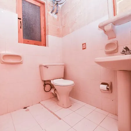 Pensiune Ta Rozina Farmhouse